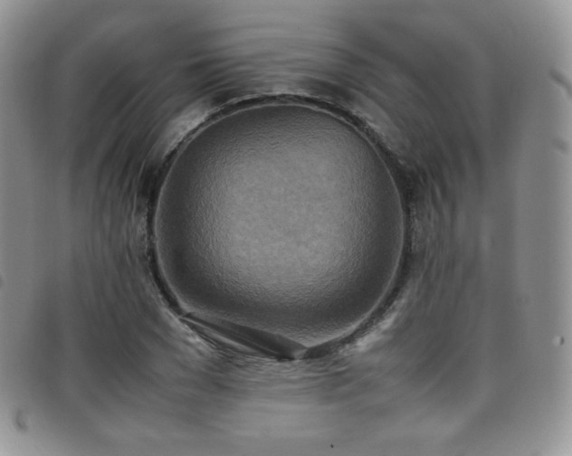 X0000099230977200804241449