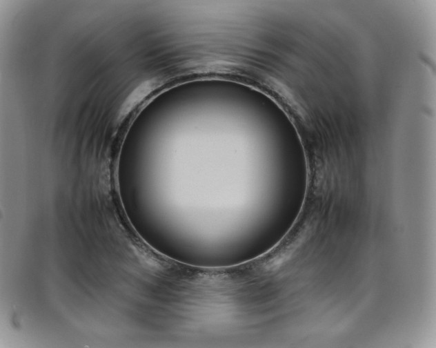 X0000099230978200804241449