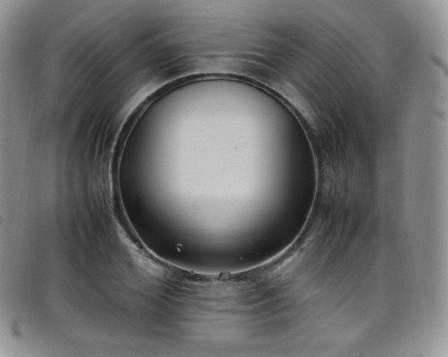 X0000099230980200804241449