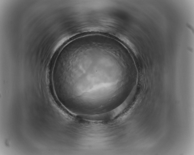 X0000099230983200804241449