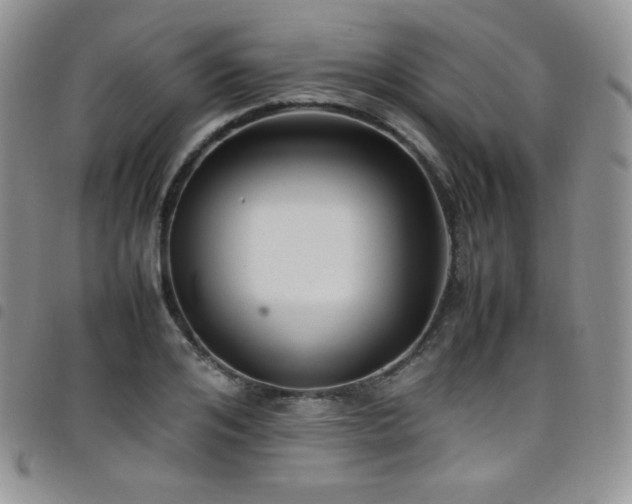 X0000099230984200804241449