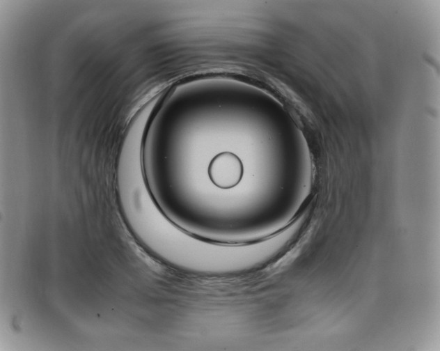 X0000099230985200804241449