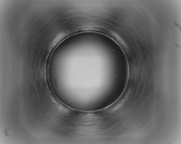 X0000099230986200804241449