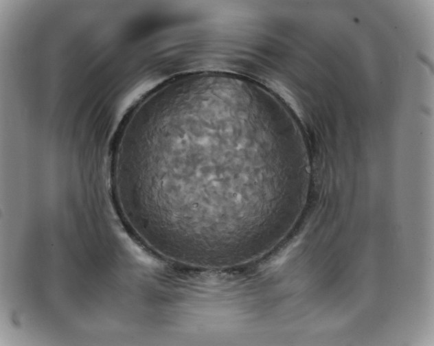 X0000099230987200804241449