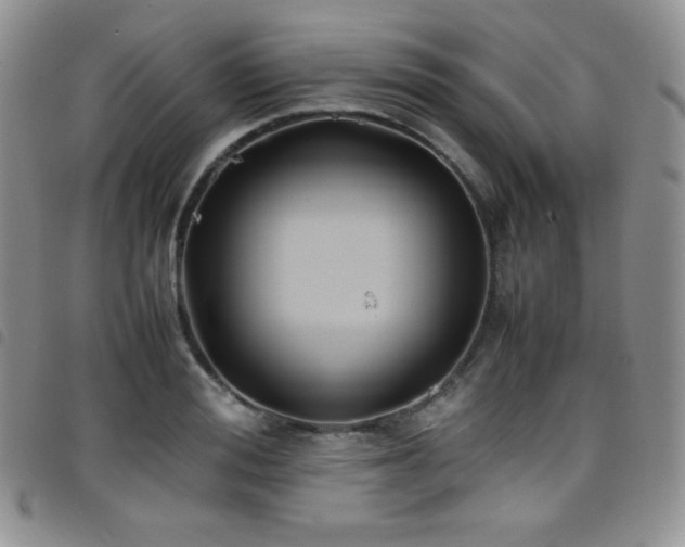 X0000099230988200804241449