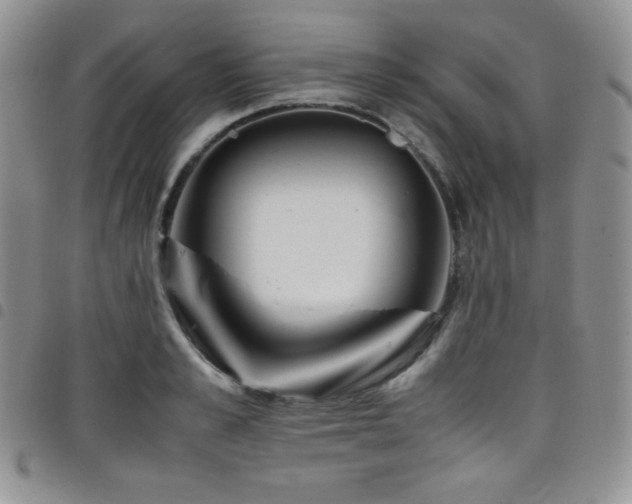 X0000099230989200804241449