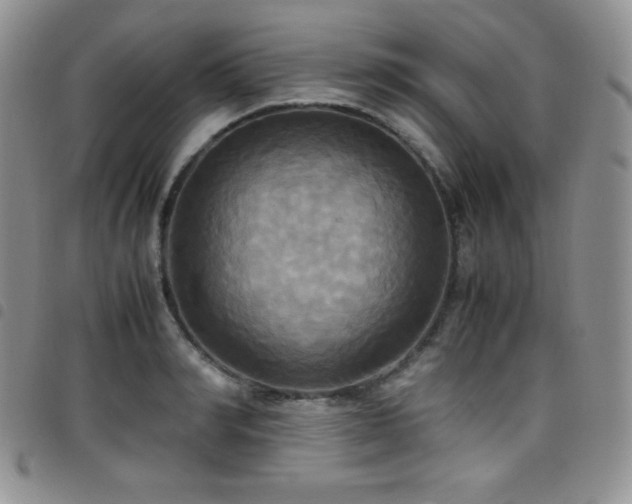 X0000099230990200804241449