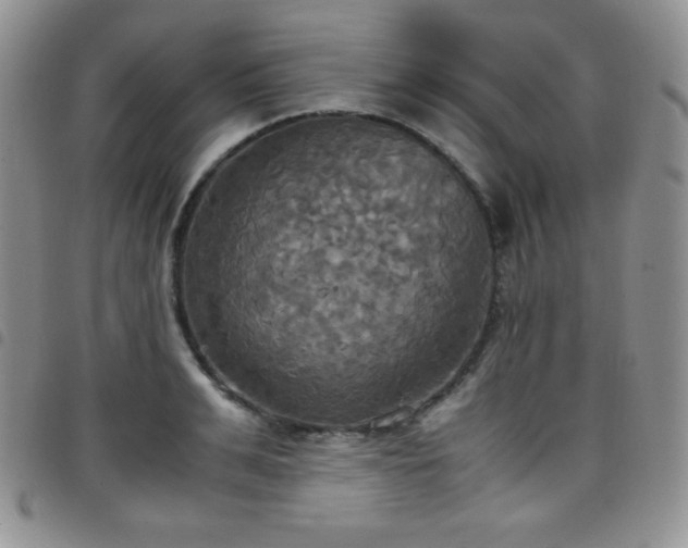 X0000099230991200804241449