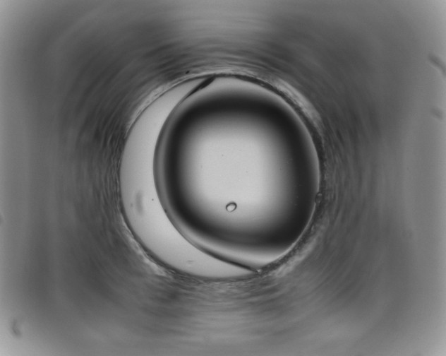 X0000099230993200804241449