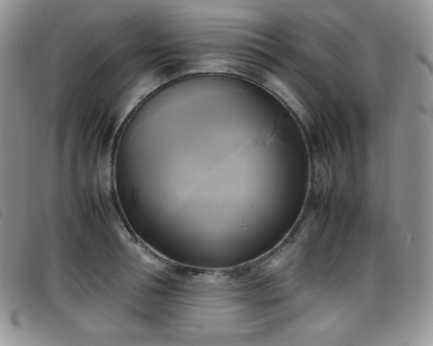 X0000099230994200804241449
