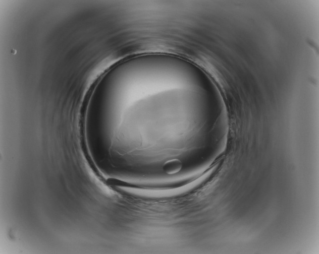 X0000099230995200804241449