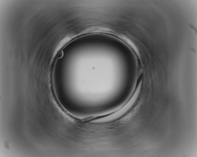 X0000099230997200804241449
