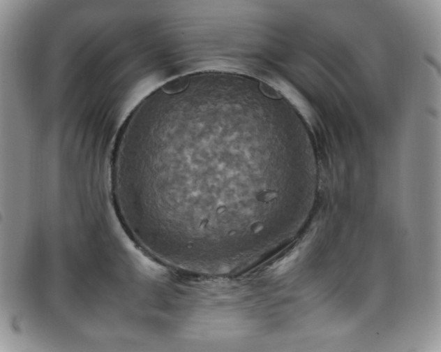 X0000099230999200804241449