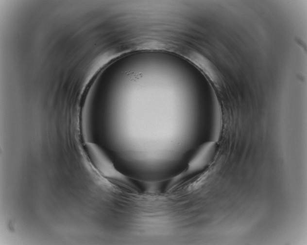 X0000099231000200804241449