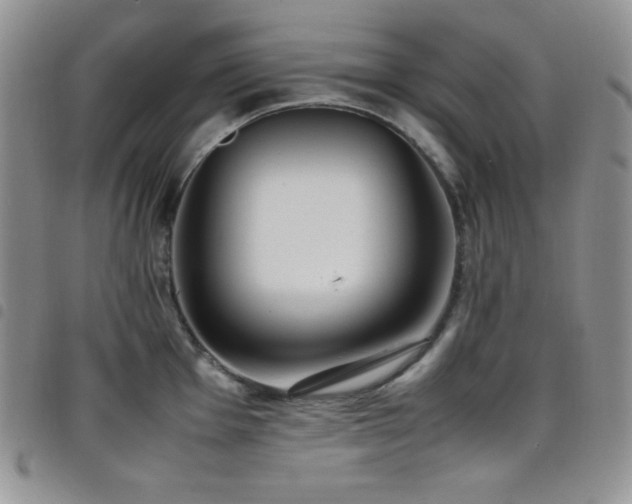 X0000099231001200804241449