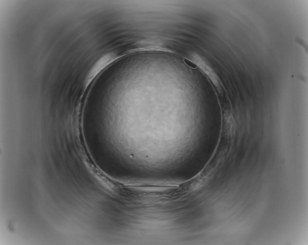 X0000099231002200804241449