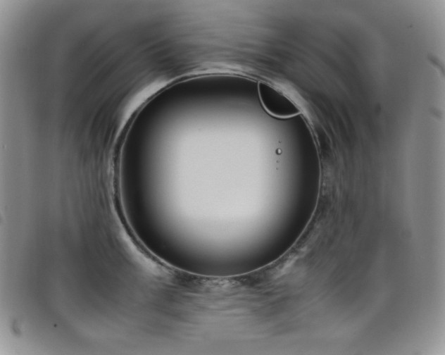 X0000099231003200804241449