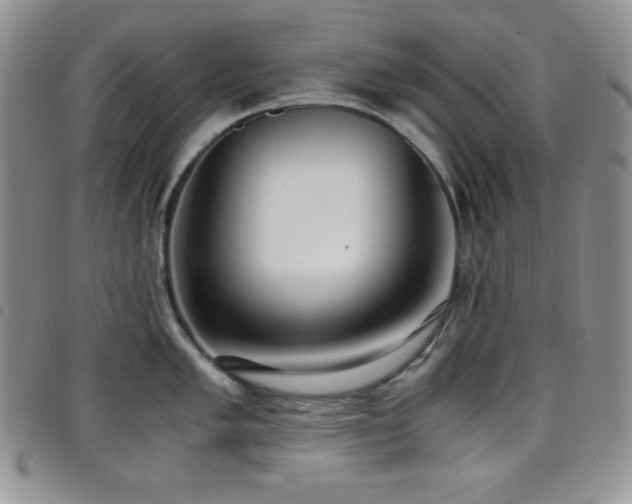 X0000099231005200804241449