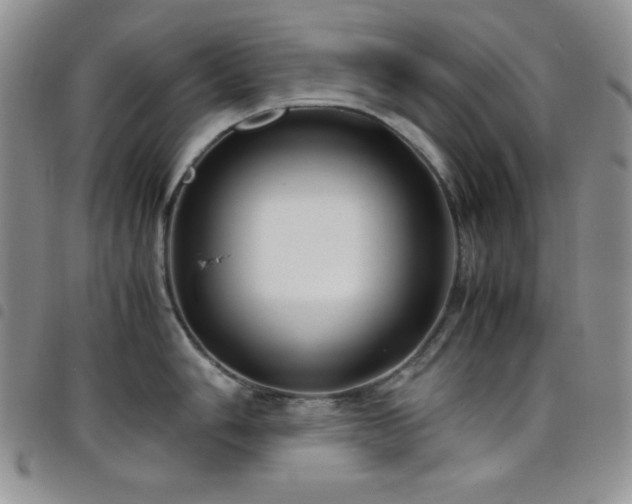 X0000099231006200804241449