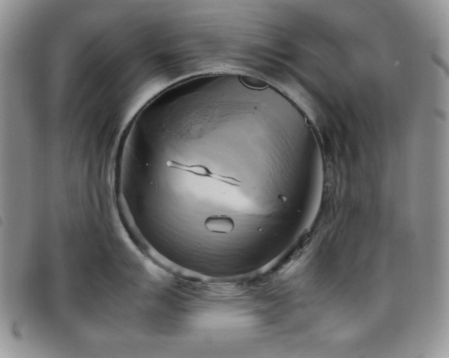 X0000099231007200804241449