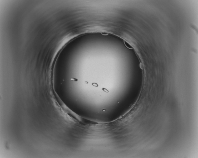 X0000099231008200804241449