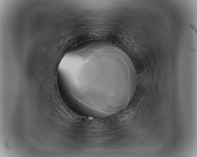 X0000099231009200804241448