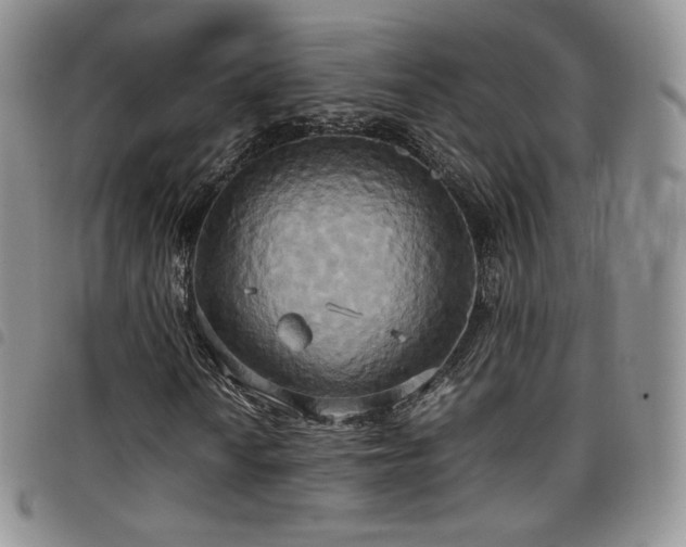 X0000099231010200804241448