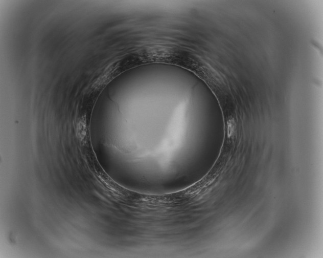 X0000099231011200804241448