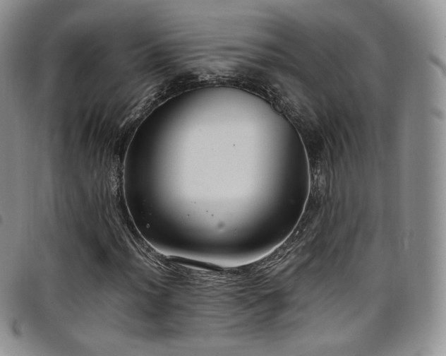 X0000099231012200804241448