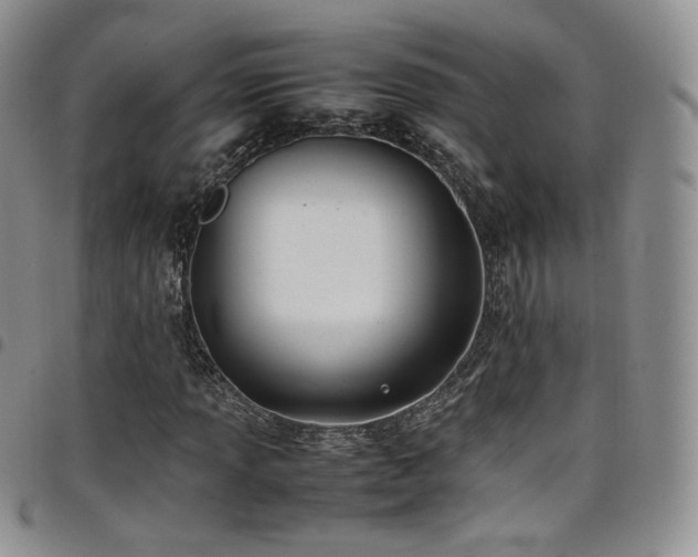 X0000099231013200804241448