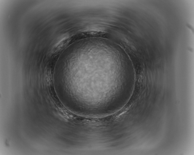X0000099231014200804241448