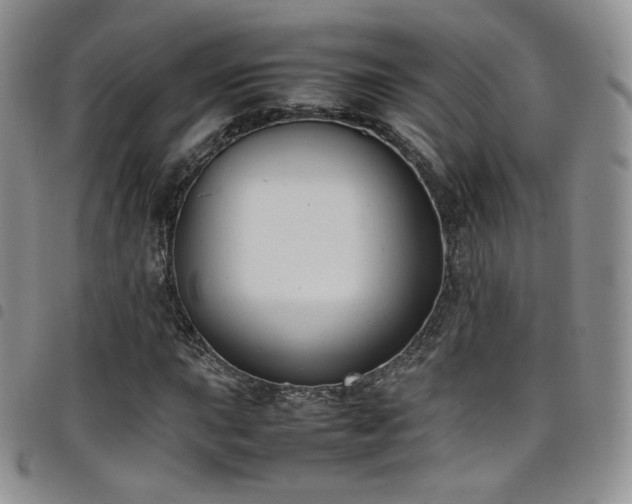X0000099231015200804241448