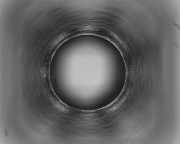 X0000099231017200804241448