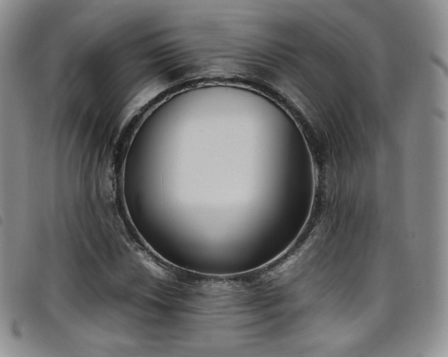 X0000099231018200804241448