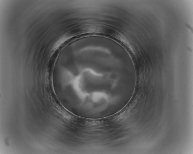 X0000099231019200804241448