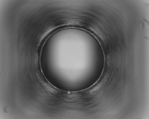X0000099231021200804241448