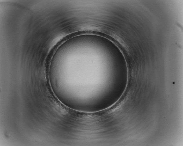 X0000099231022200804241448