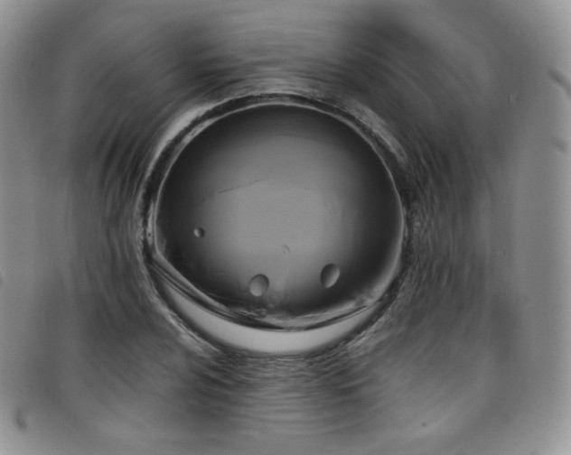 X0000099231024200804241448