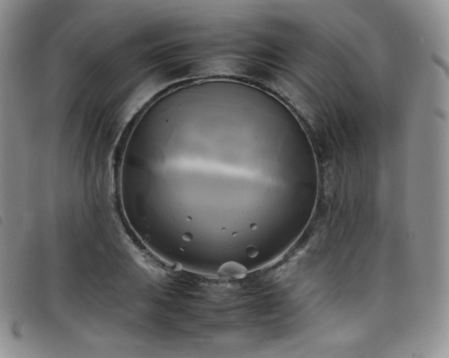 X0000099231031200804241449