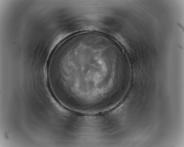 X0000099231032200804241449