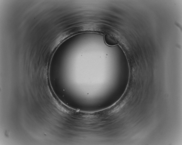 X0000099231033200804241449