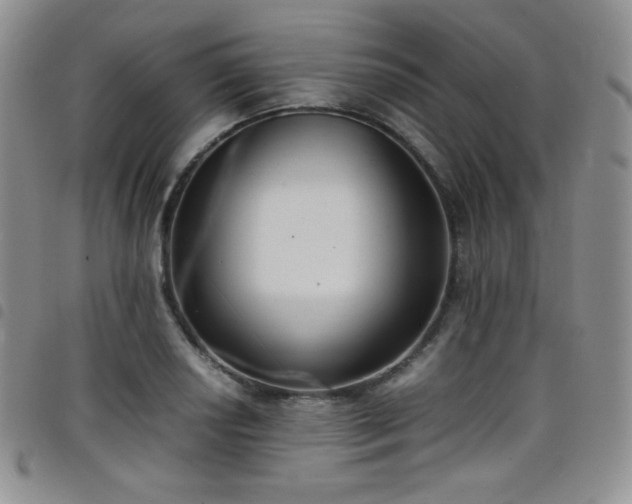 X0000099231034200804241449