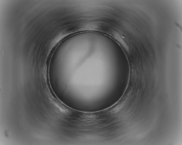 X0000099231035200804241449
