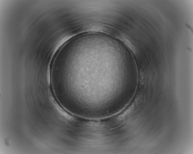 X0000099231036200804241449