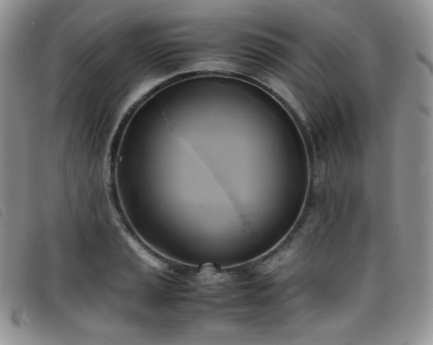 X0000099231037200804241449