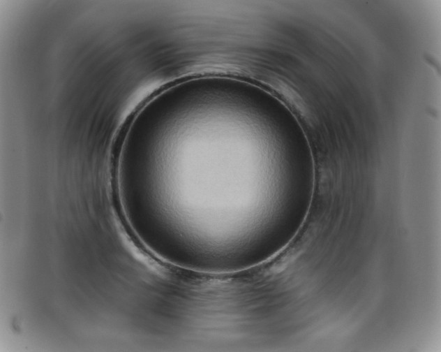 X0000099231038200804241449