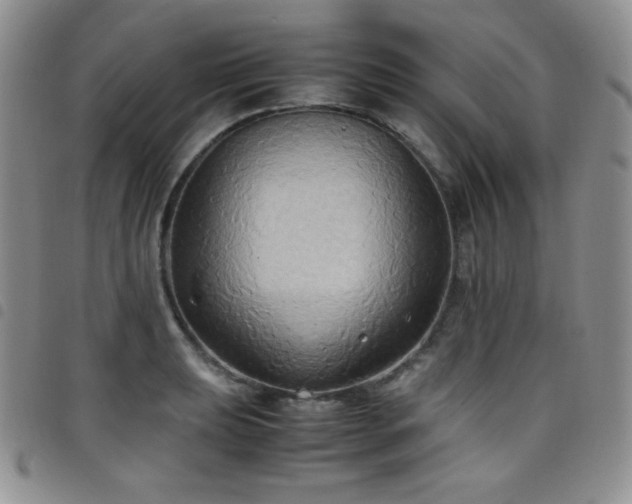 X0000099231039200804241449