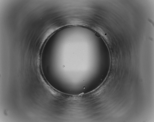 X0000099231040200804241449