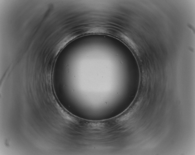 X0000099231041200804241449