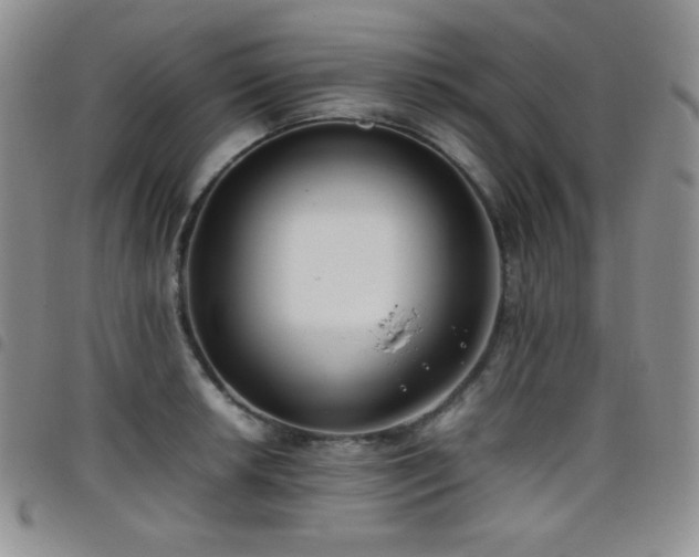 X0000099231042200804241449